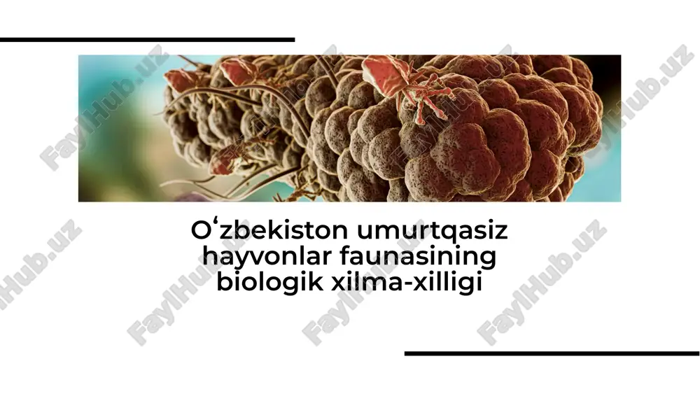 oʻzbekiston umurtqasiz hayvonlar faunasining biologik xilma-xilligi — PDF