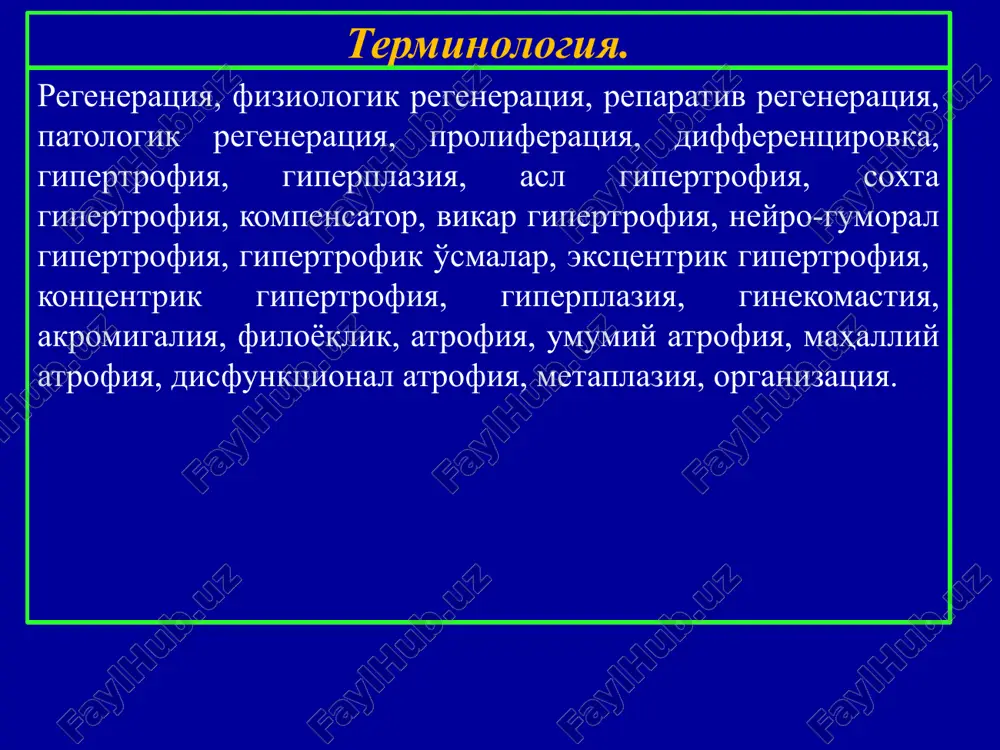 terminologiya — PPTX
