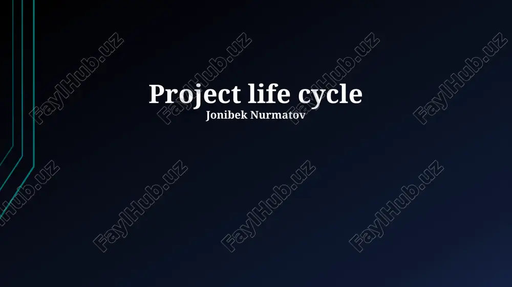project life cycle — PPTX