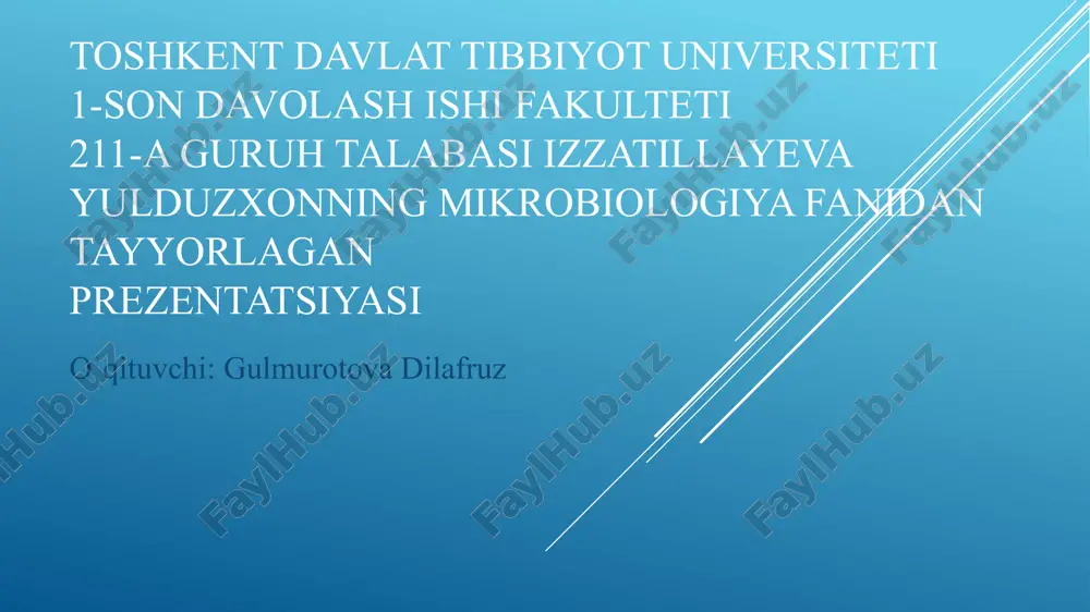 soddajonivorlar — PPTX