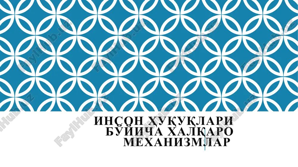 inson huquqlari bo'yicha xalqaro mexanizmlar — PPTX