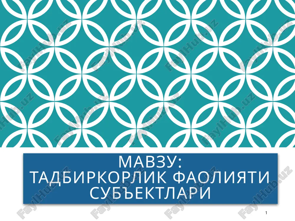 tadbirkorlik faoliyati sub'ektlari — PPTX