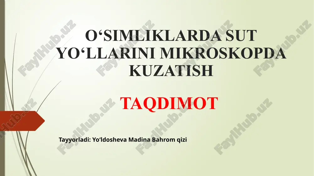 o‘simliklarda sut yo‘llarini mikroskopda kuzatish — PPTX