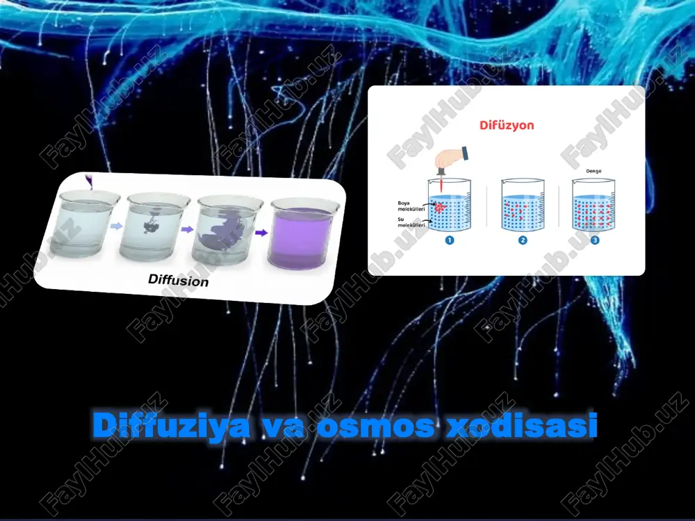 diffuziya va osmos xodisasi — PPTX