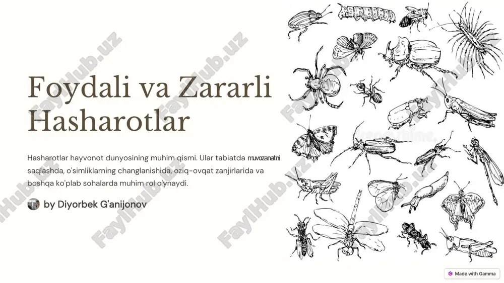 hasharotlar — PDF