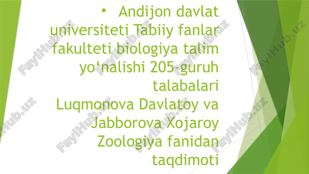 sutemizuvchilarni ichki tuzilishi — PPTX
