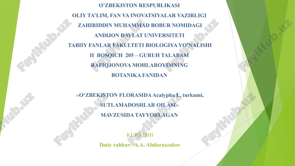 oʻzbekiston florasida acalypha l. turkumi, sutlamadoshlar oilasi — PPT
