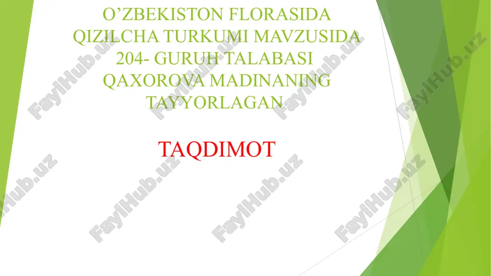 qizilcha turkumi mavzusida 204- guruh talabasi — PPT