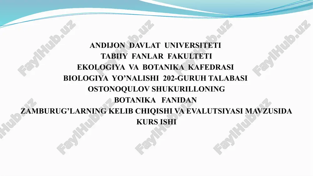zamburug’larning kelib chiqishi va evalutsiyasi — PPTX