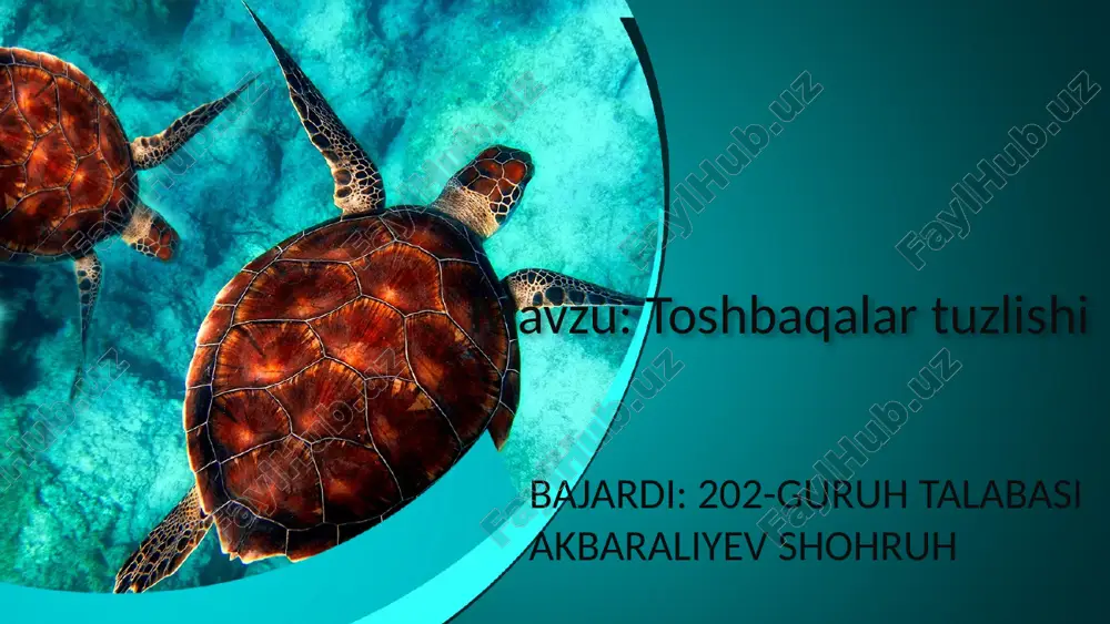 toshbaqalar tuzilishi — PPTX