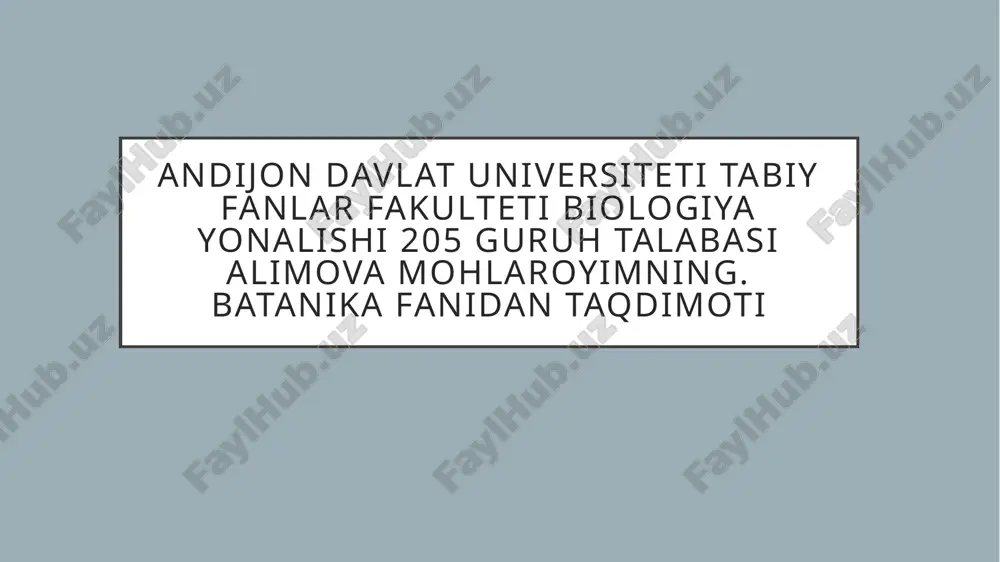 toʻqima — PPTX