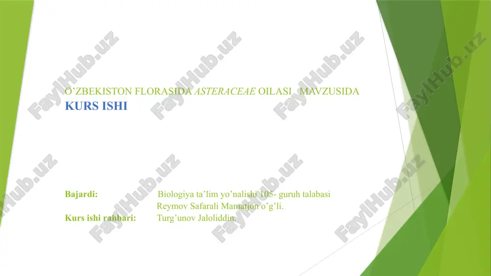 o’zbekiston florasidaasteraceaeoilasi mavzusidakurs ishi — PPTX