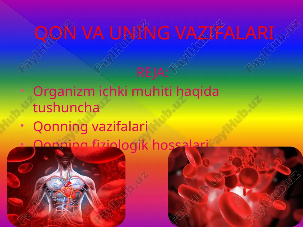 qon va uning vazifalari — PPTX