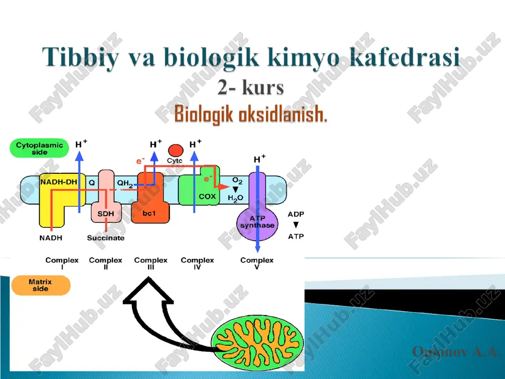 biologik oksidlanish — PPT