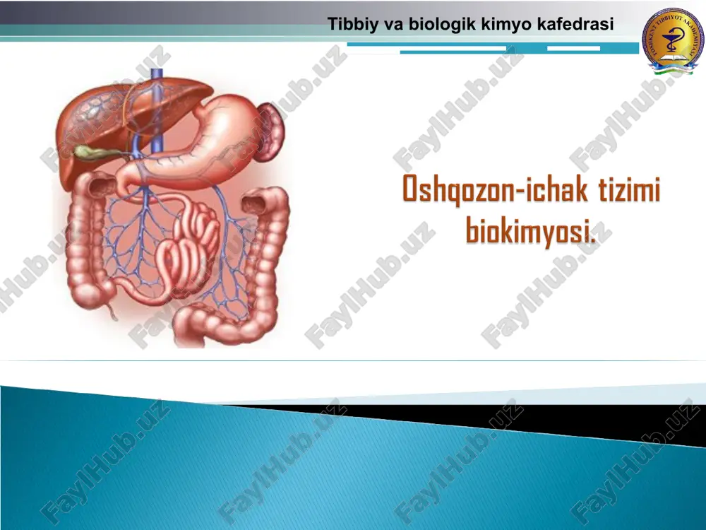 oshgozon-ichak tizimi biokimyasi — PPT