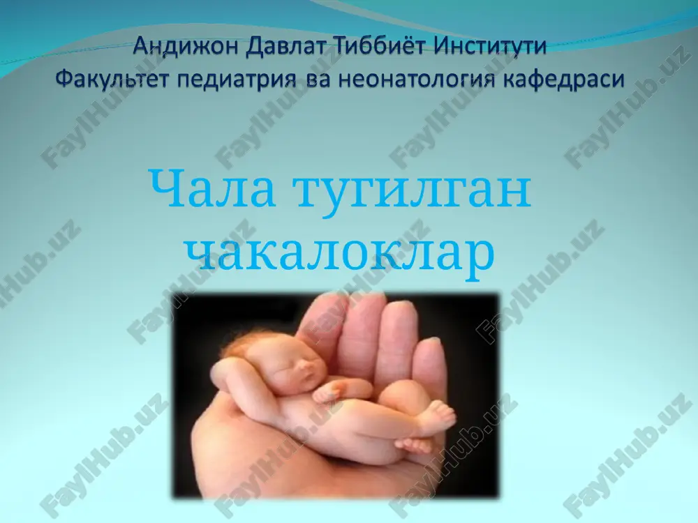chala tugilgan chakaloklar — PPT