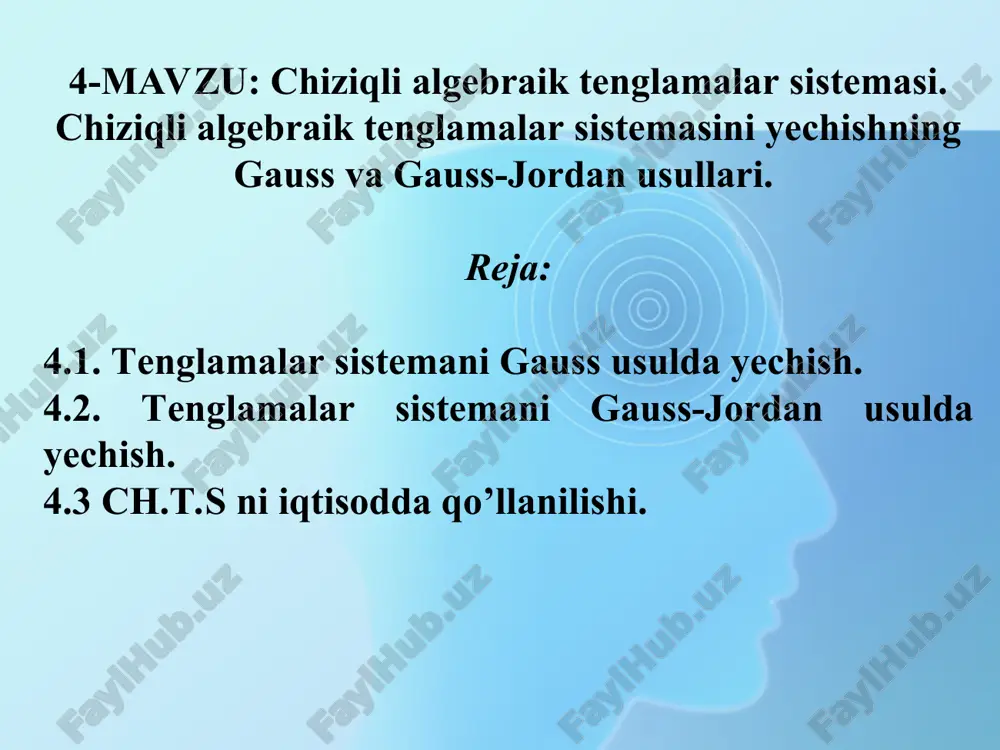 chiziqli algebraik tenglamalar sistemasi — PPT