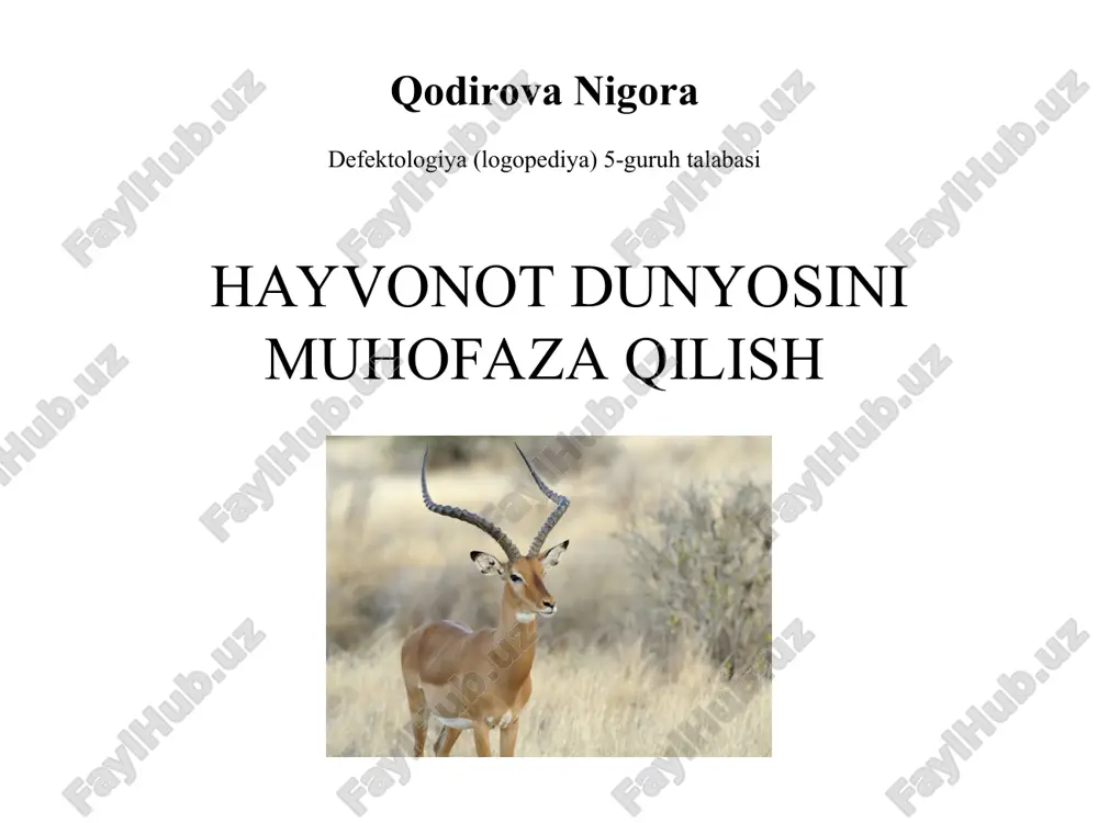hayvonot dunyosini muhofaza qilish — PPT