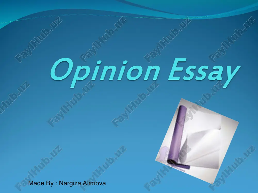 opinion essay — PPT