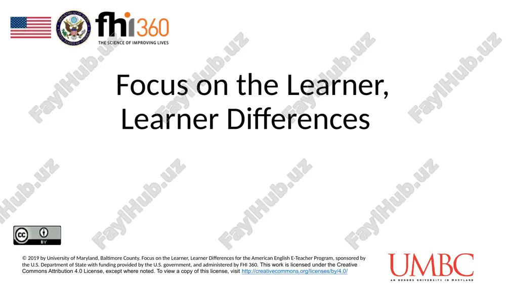 focus on the learner, learner differences — PPTX