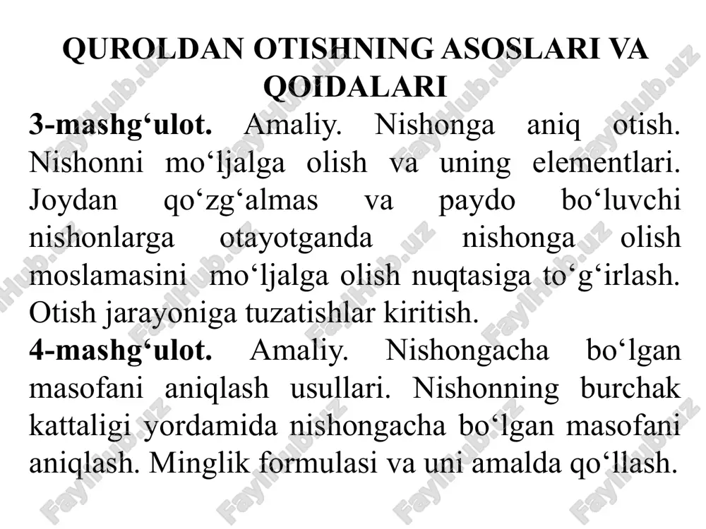 quroldan otishning asoslari va qoidalari — PPTX