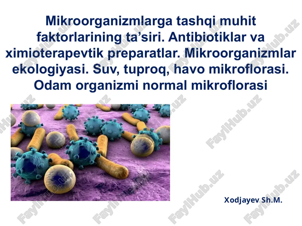 antibiotiklar — PPTX