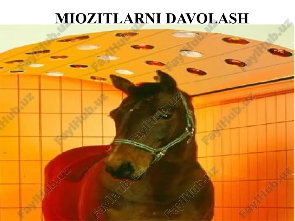 miozitlarni davolash — PPTX