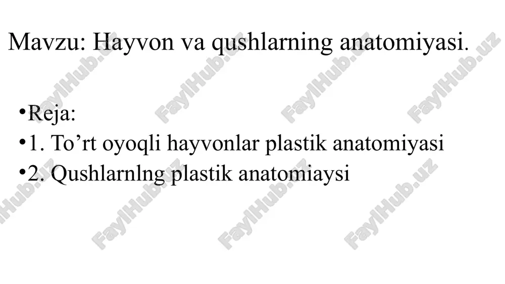 hayvonvaqushlarninganatomiyasi — PPTX