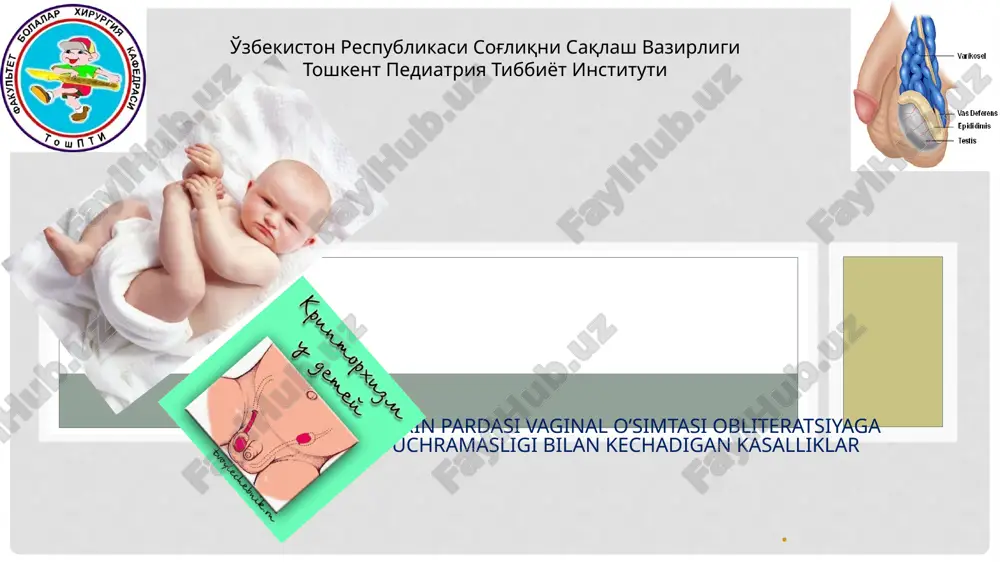 kriptorxizm — PPTX