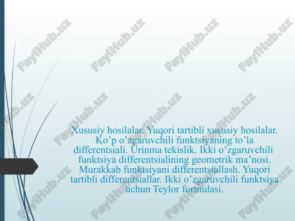 xususiy hosilalar — PPTX