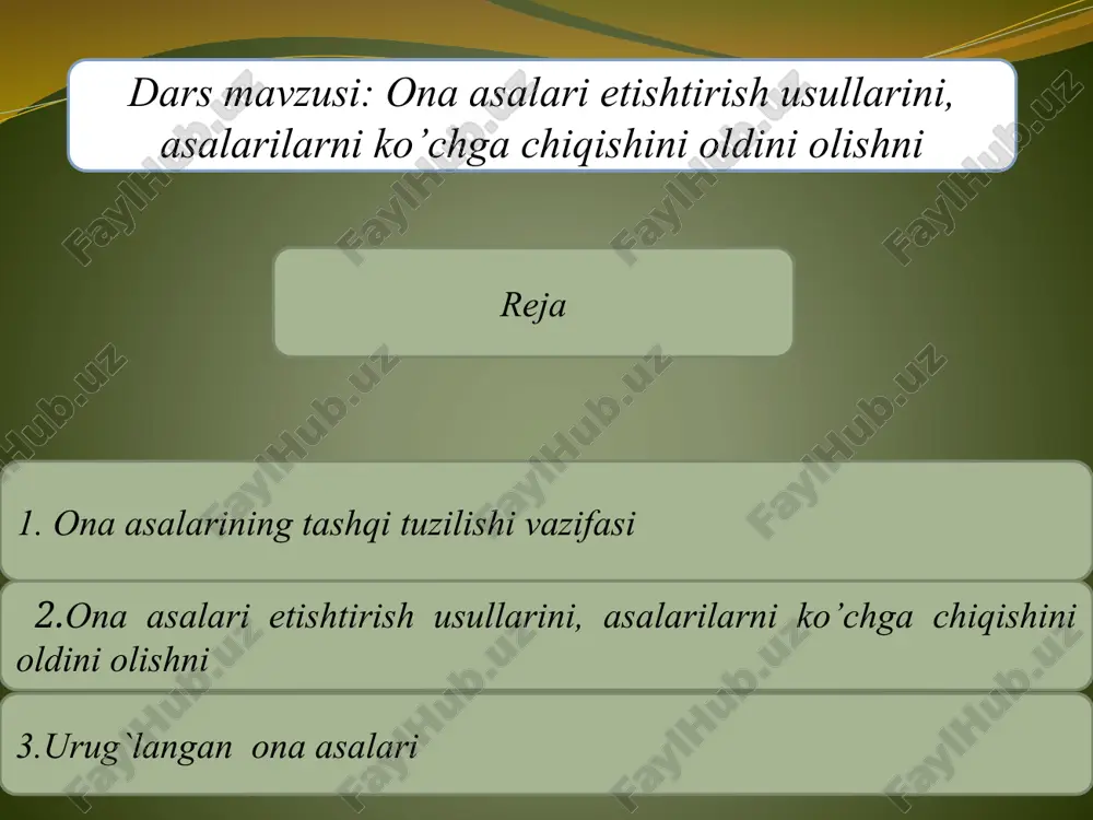 ona asalari etishtirish usullari — PPTX