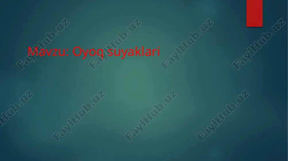 oyoqsuyaklari — PPTX