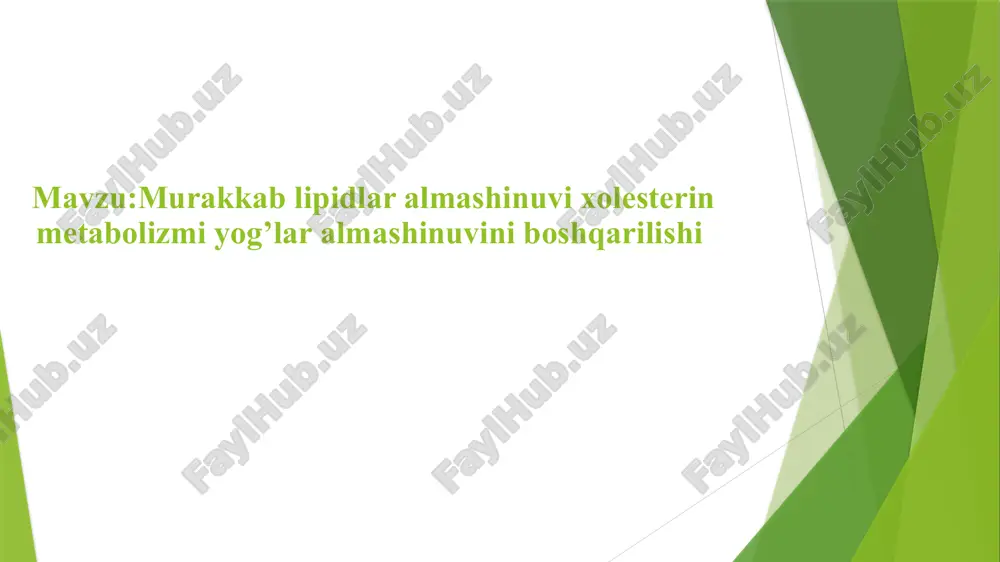 murakkab lipidlar — PPTX