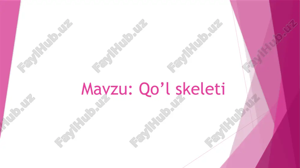 qo’lskeleti — PPTX