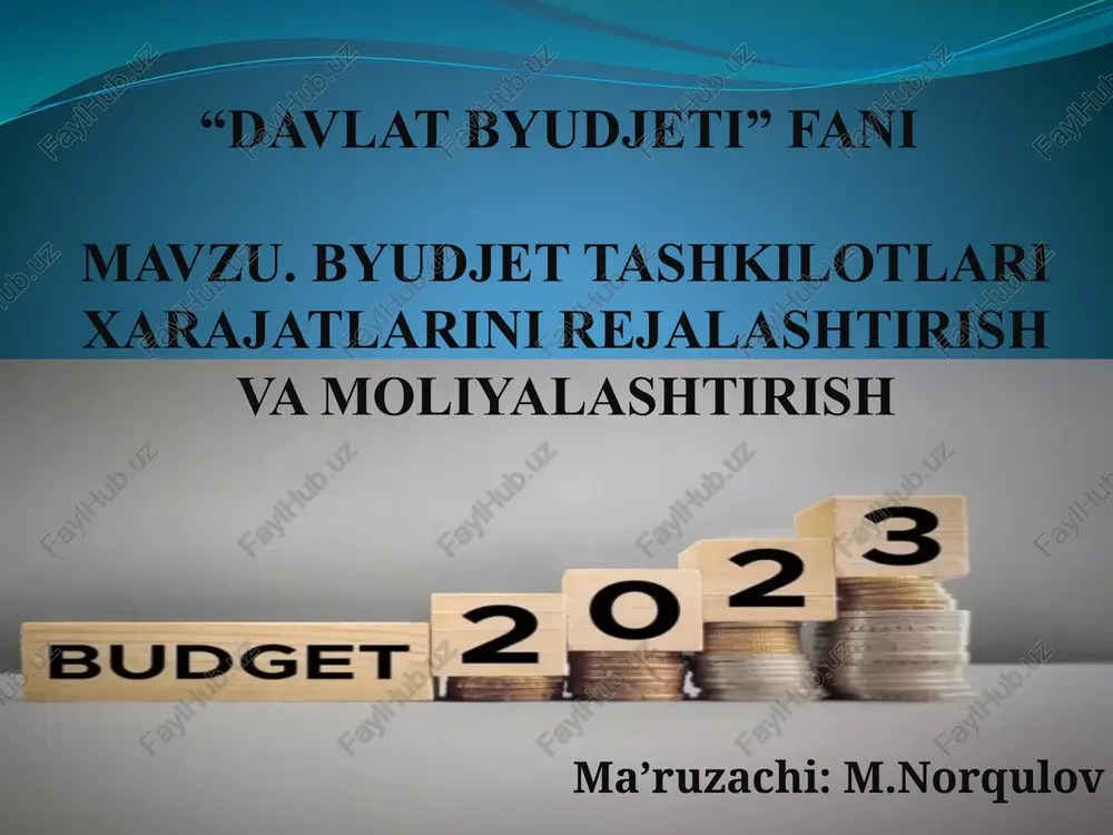 "davlat byudjeti" fanimavzu — PPTX