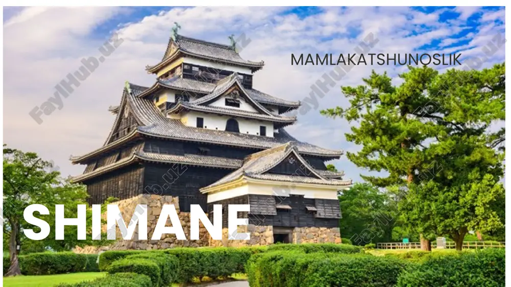 mamlakatshunoslik. shimane — PPTX