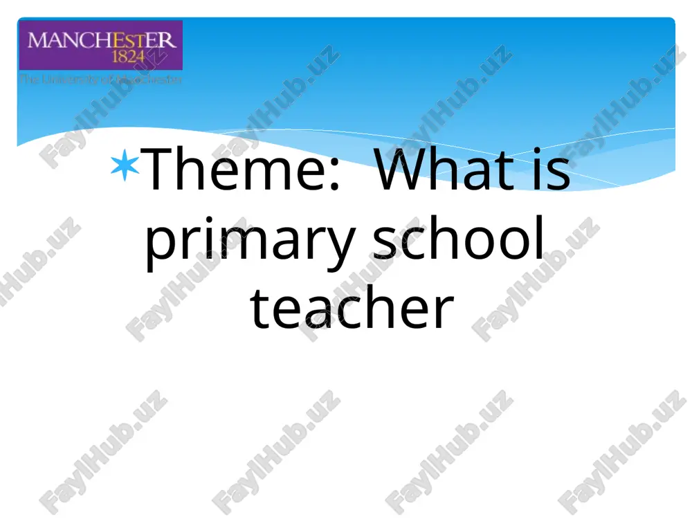 primary school teacher — PPTX