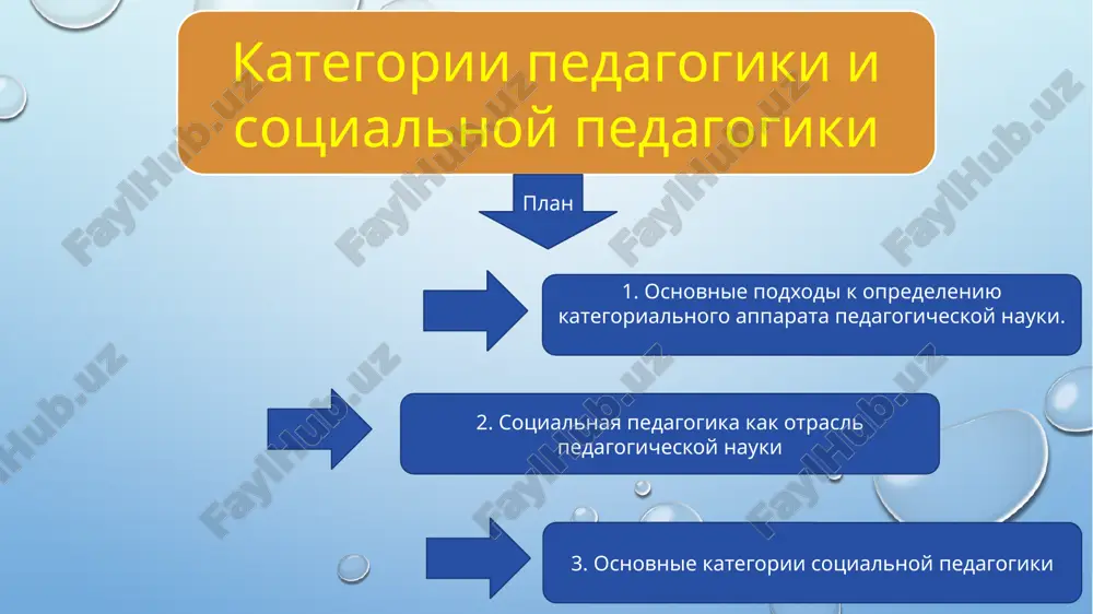 kategorii pedagogiki i sotsialnoy pedagogiki — PPTX