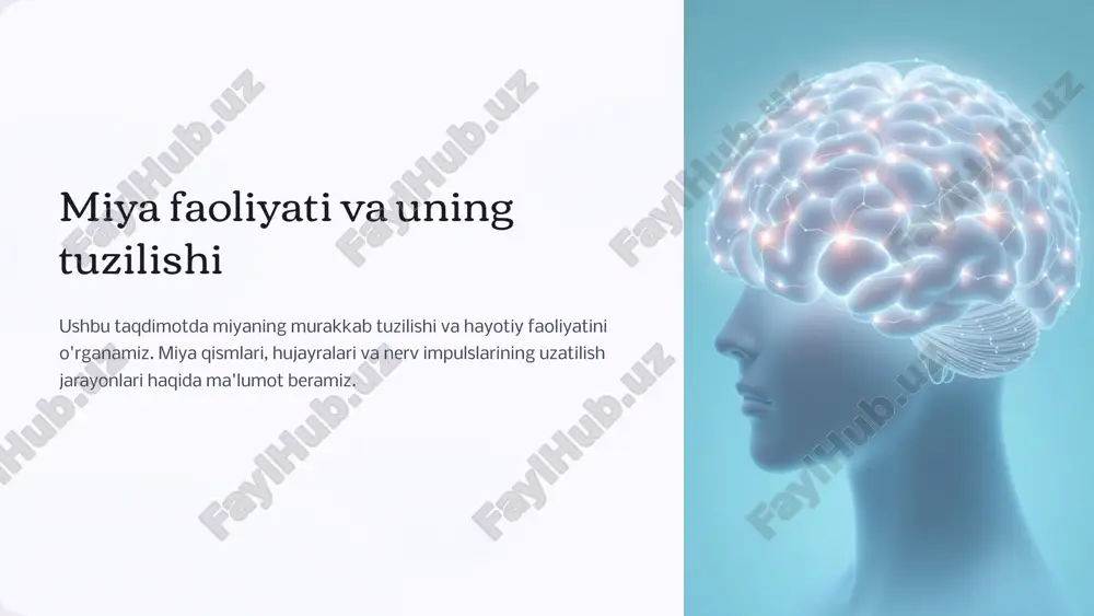 miya faoliyati va uning tuzilishi — PPTX
