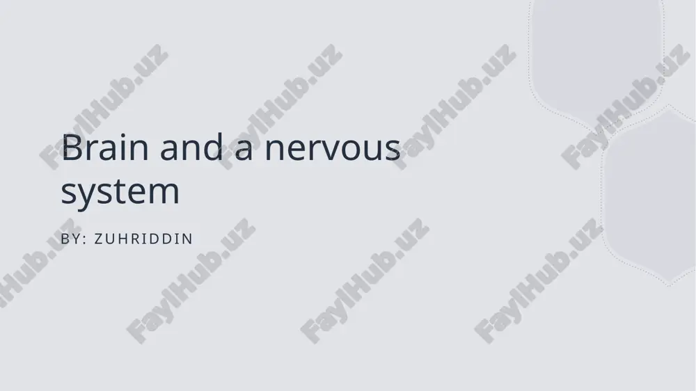 brain and nervous sytsem — PPTX