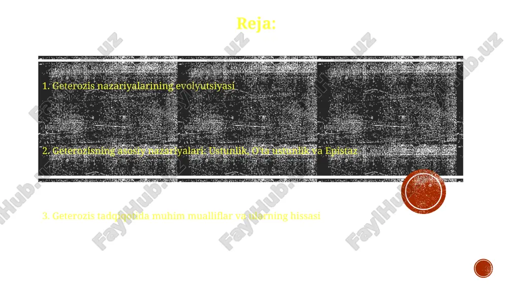 geterozisning biologik asoslari — PPTX