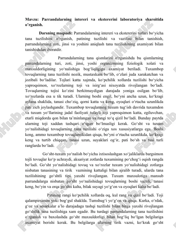 tuxumbop tovuqlar — DOCX