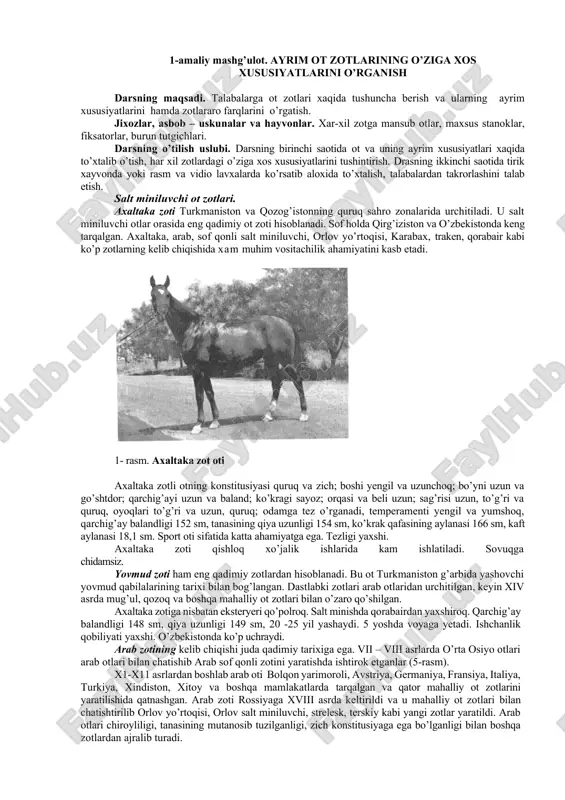 axaltaka zot oti — DOCX