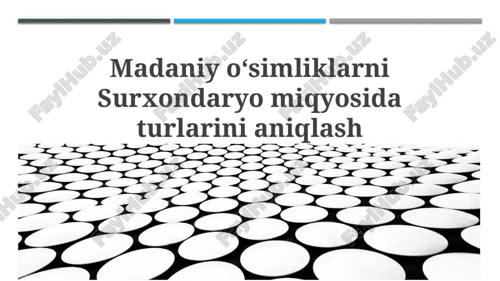 surxondaryo viloyatida o'simlik turlarini aniqlash — PPTX