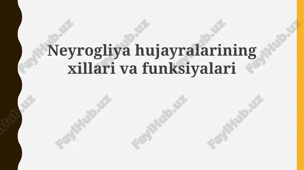 neyrogliya hujayralarining xillari va funksiyalari — PPTX