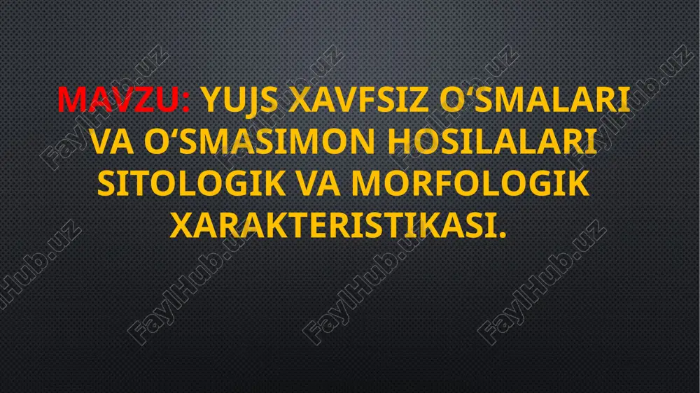 yujs xavfsiz o‘smalari — PPTX