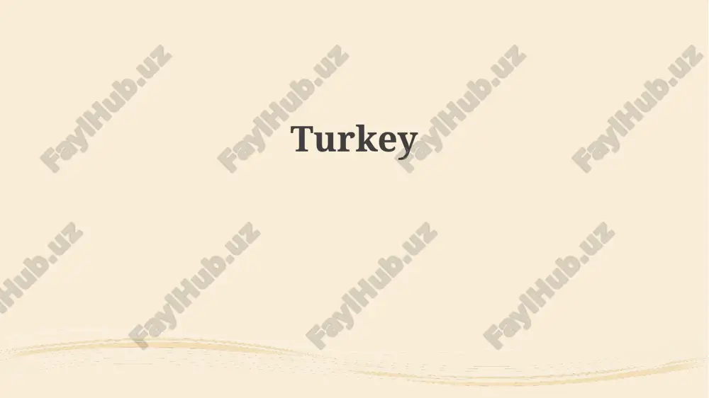 turkey — PPTX