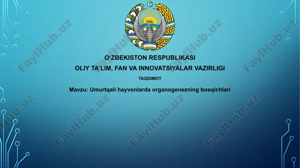 umurtqalihayvonlardaorganogenezningbosqichlari — PPTX