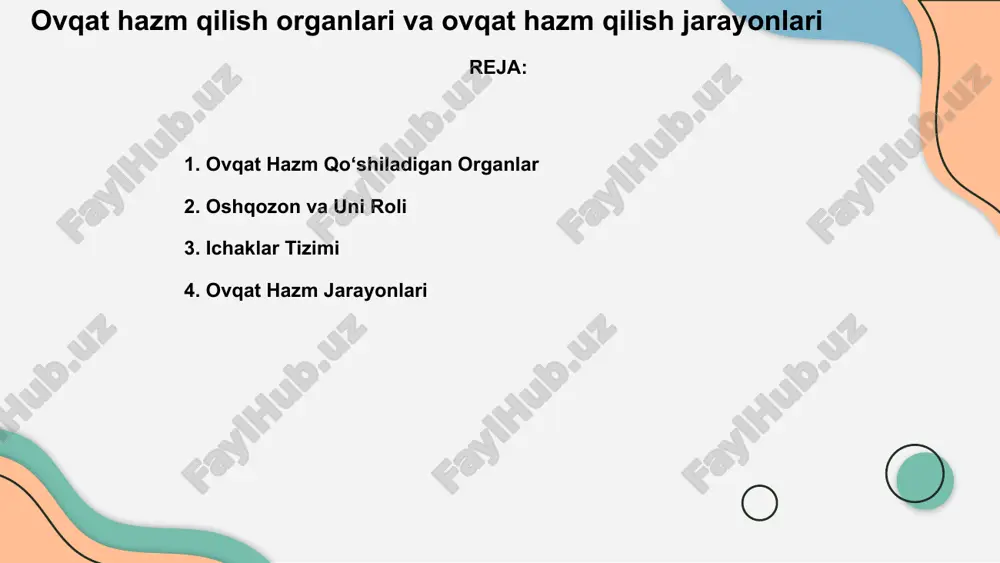 ovqat hazm qo‘shiladigan organlar — PPTX