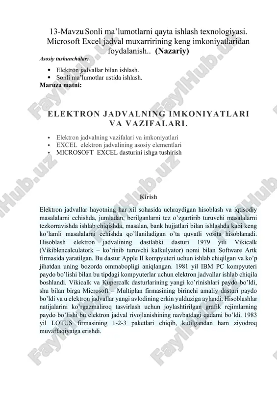 elektron jadvallar — DOCX